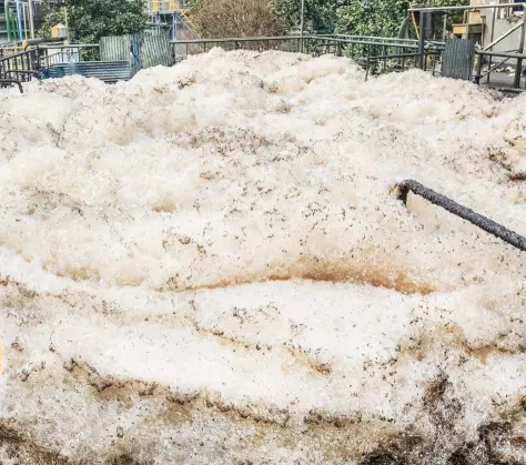 (圖:客戶電廠污水池泡沫)