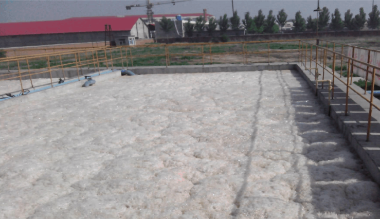 (圖:污水廠泡沫池現(xiàn)場)