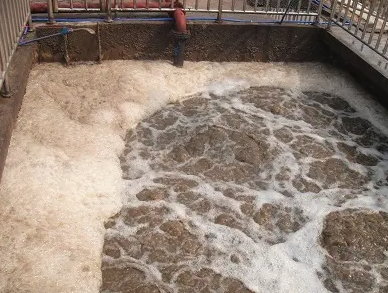 （圖：厭氧池污水泡沫）