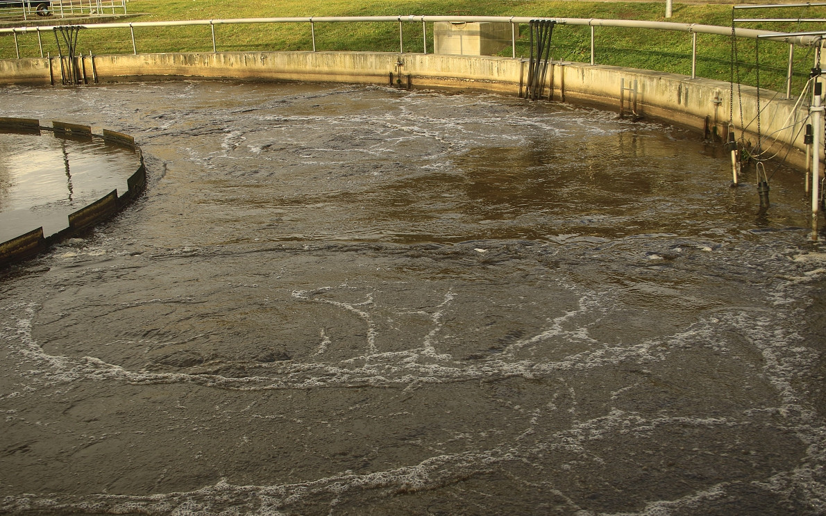 (圖:屠宰場污水泡沫池)