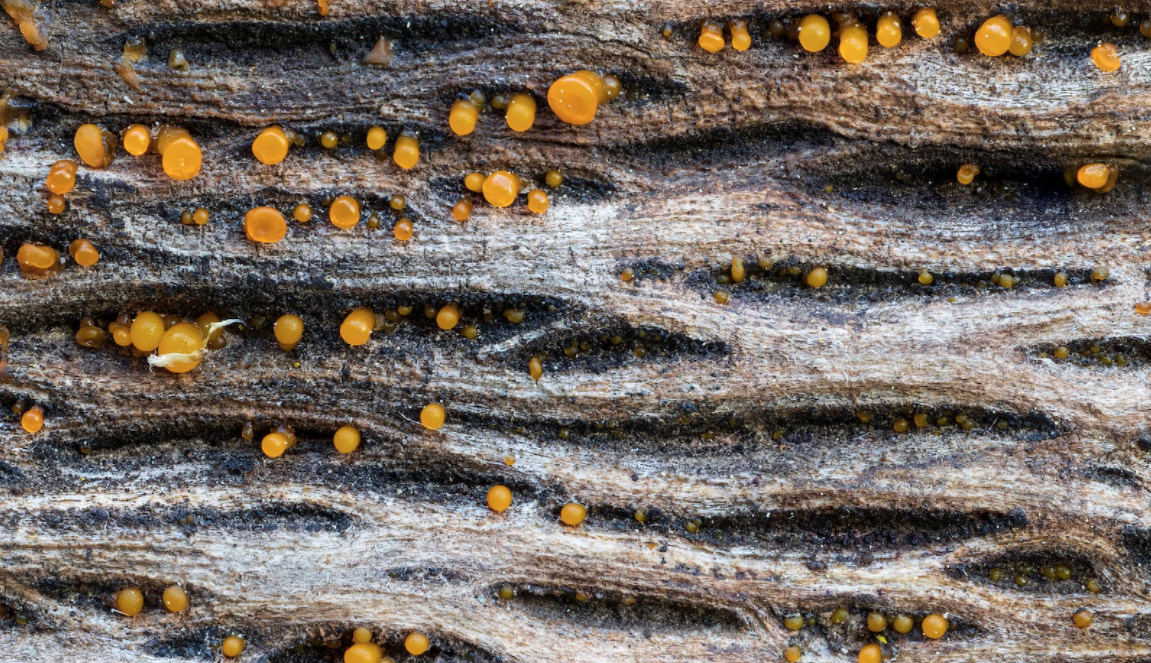 (圖:水性消泡劑用途)