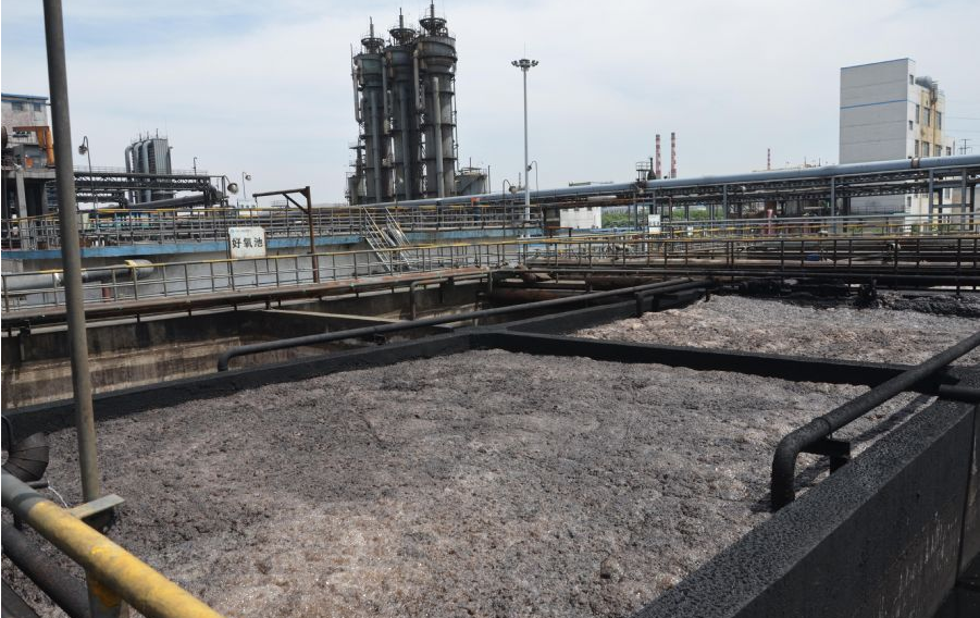 （圖：生化污水池起泡場景）