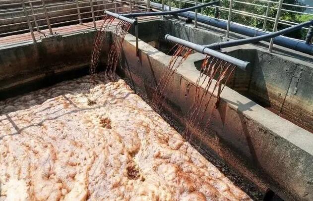 (圖:垃圾滲濾液泡沫池)