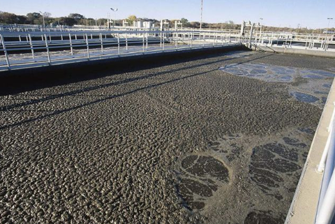 (微生物水處理消泡劑應(yīng)用場(chǎng)景)