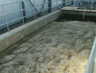 (制漿黑液有機(jī)硅消泡劑應(yīng)用場(chǎng)景)